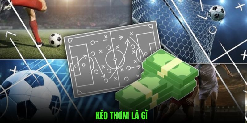 Kèo Thơm Là Gì - Review Luật Cược Dành Cho Tân Binh w88